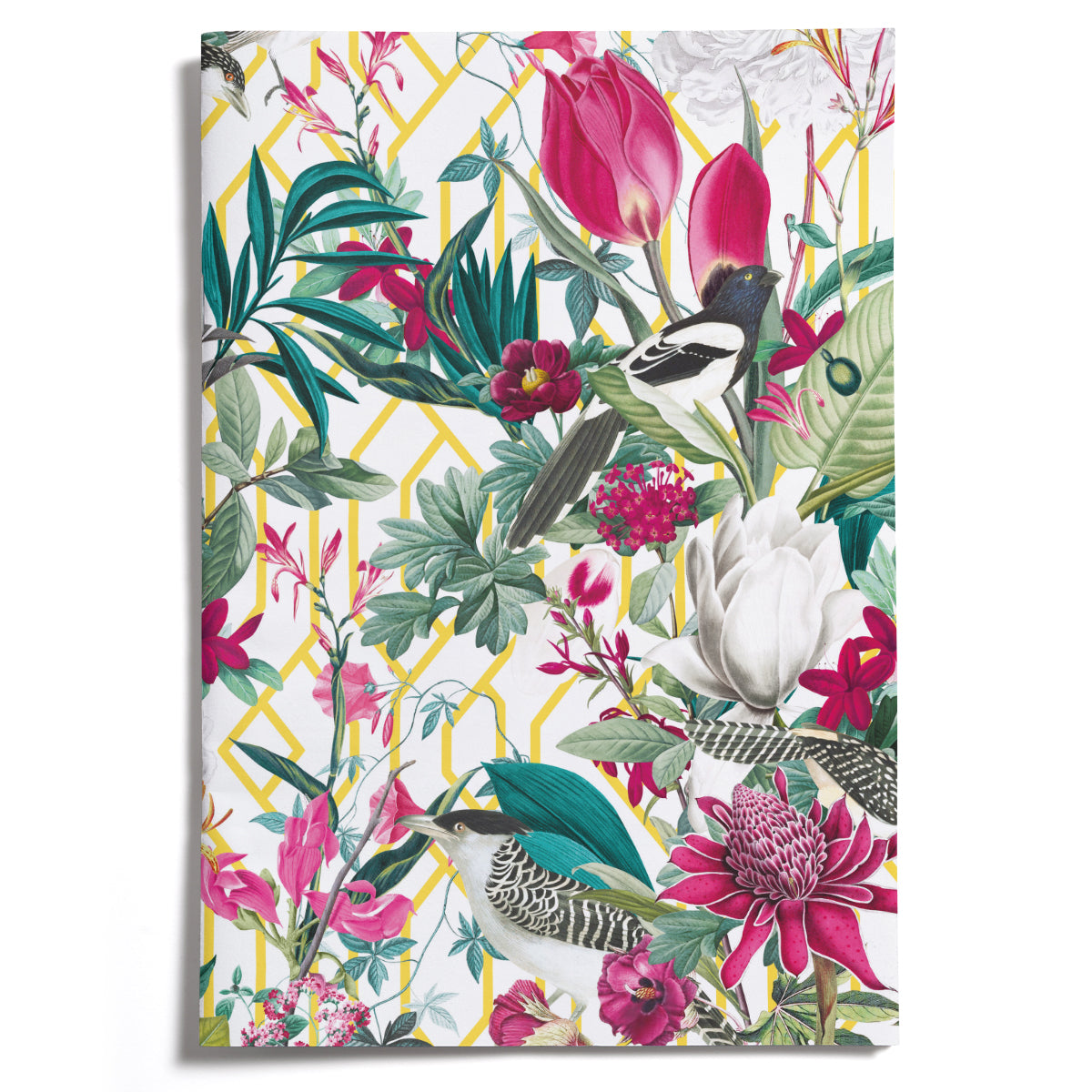 LOVELY LITTLE NOTEBOOKS [set of 2] ~ Patagonia