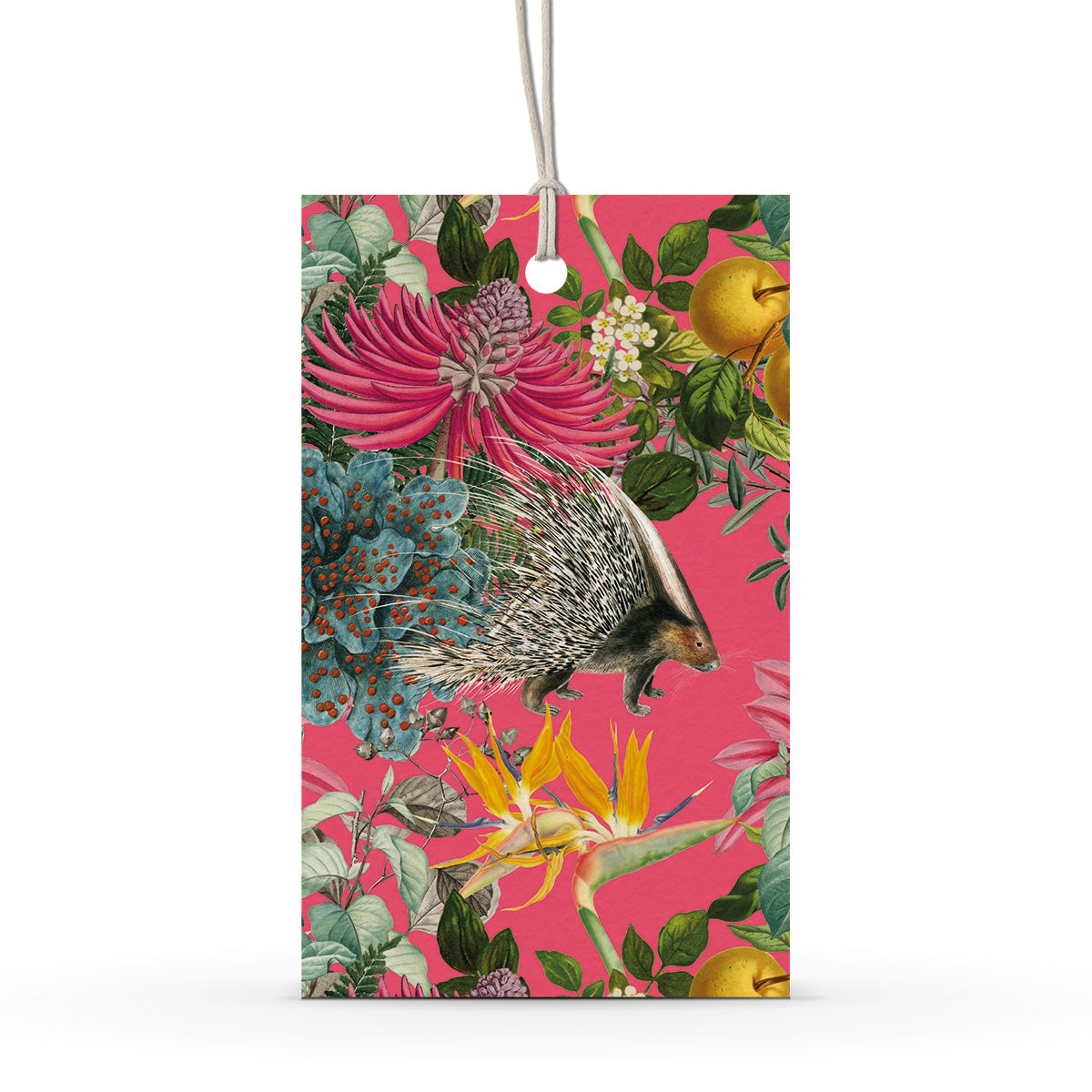 GIFT TAG SET [6] ~ Porcupine Paradise