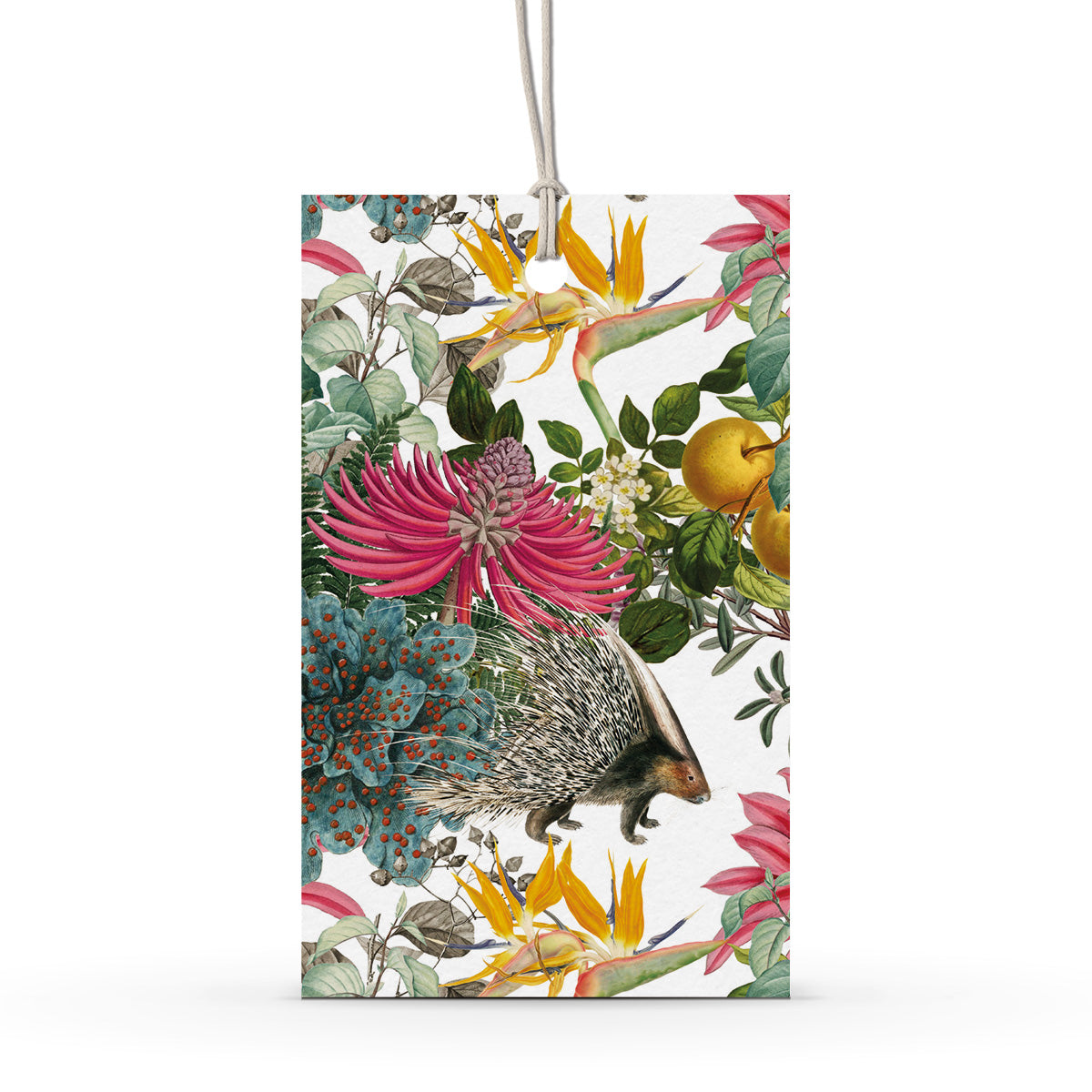 GIFT TAG SET [6] ~ Porcupine Paradise