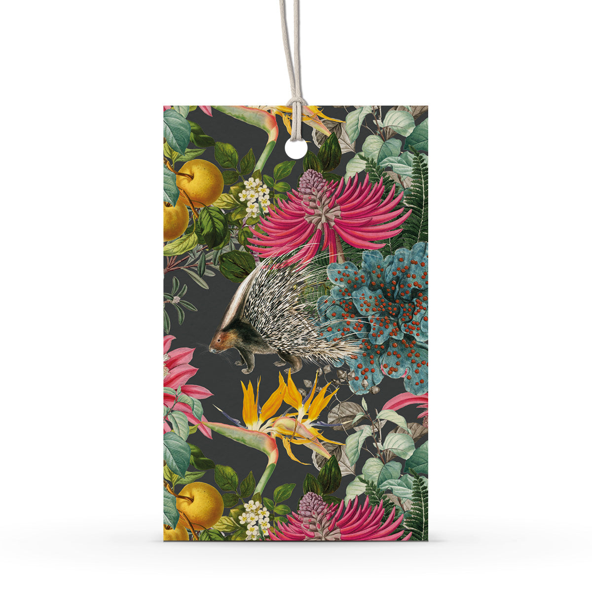 GIFT TAG SET [6] ~ Porcupine Paradise