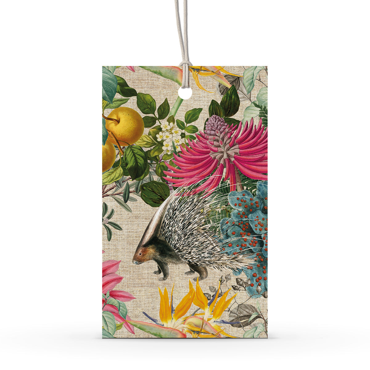 GIFT TAG SET [6] ~ Porcupine Paradise