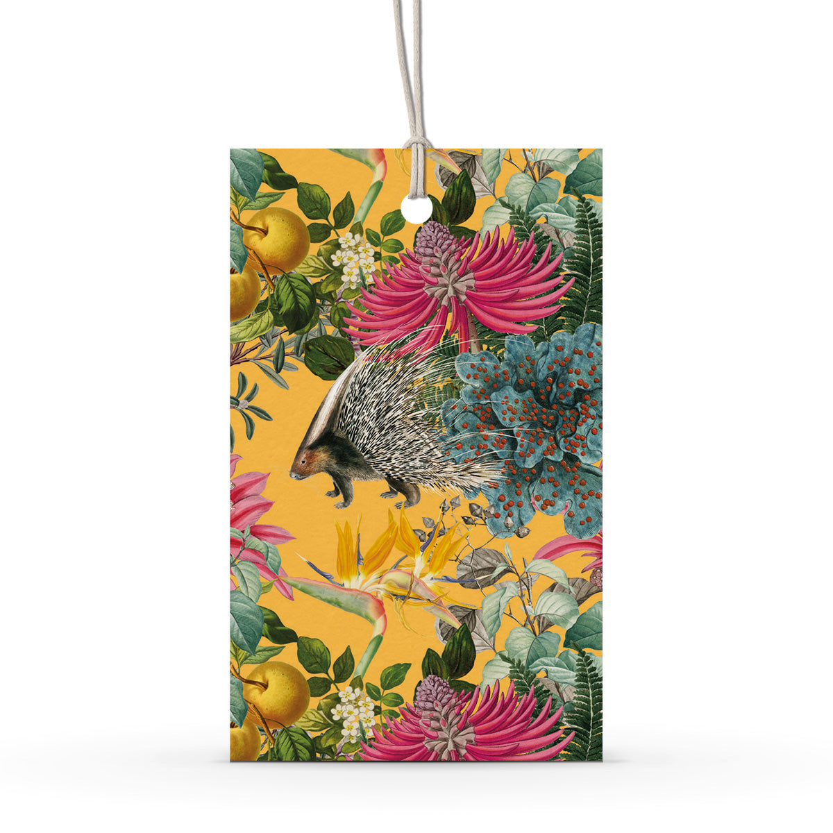 GIFT TAG SET [6] ~ Porcupine Paradise