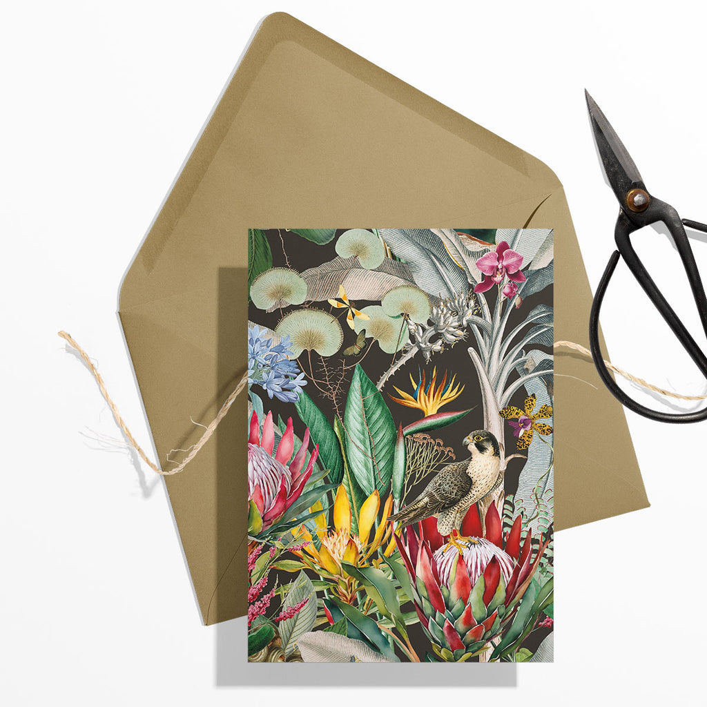 GIFT CARD SET [6] ~ Protea & the Falcon
