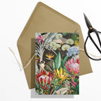 GIFT CARD SET [6] ~ Protea & the Falcon