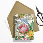 GIFT CARD SET [6] ~ Protea & the Falcon