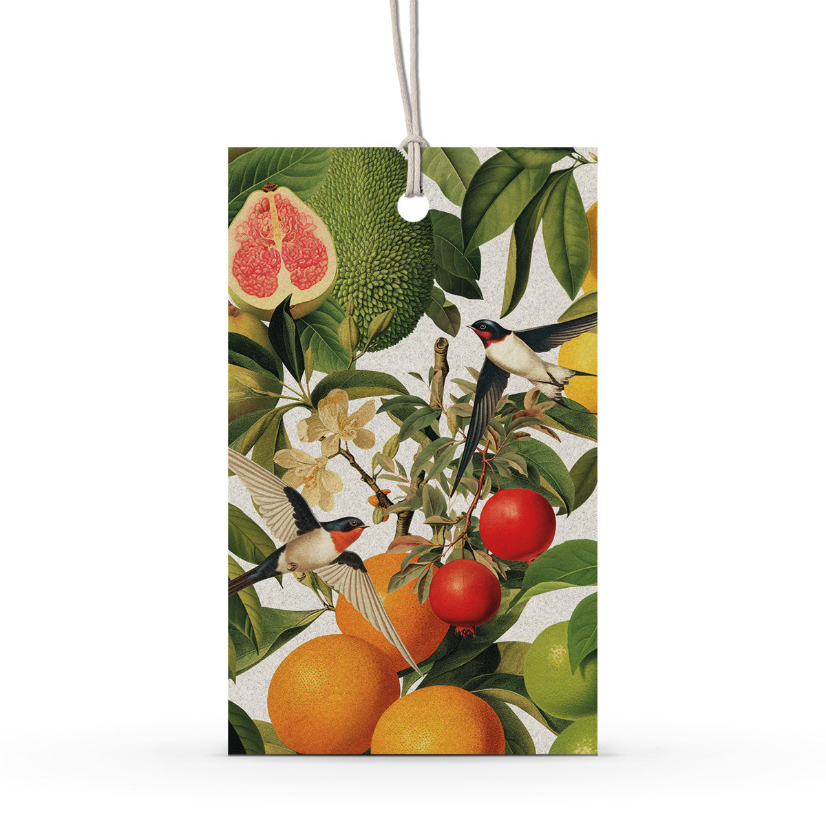 GIFT TAG SET [6] ~ Swallows