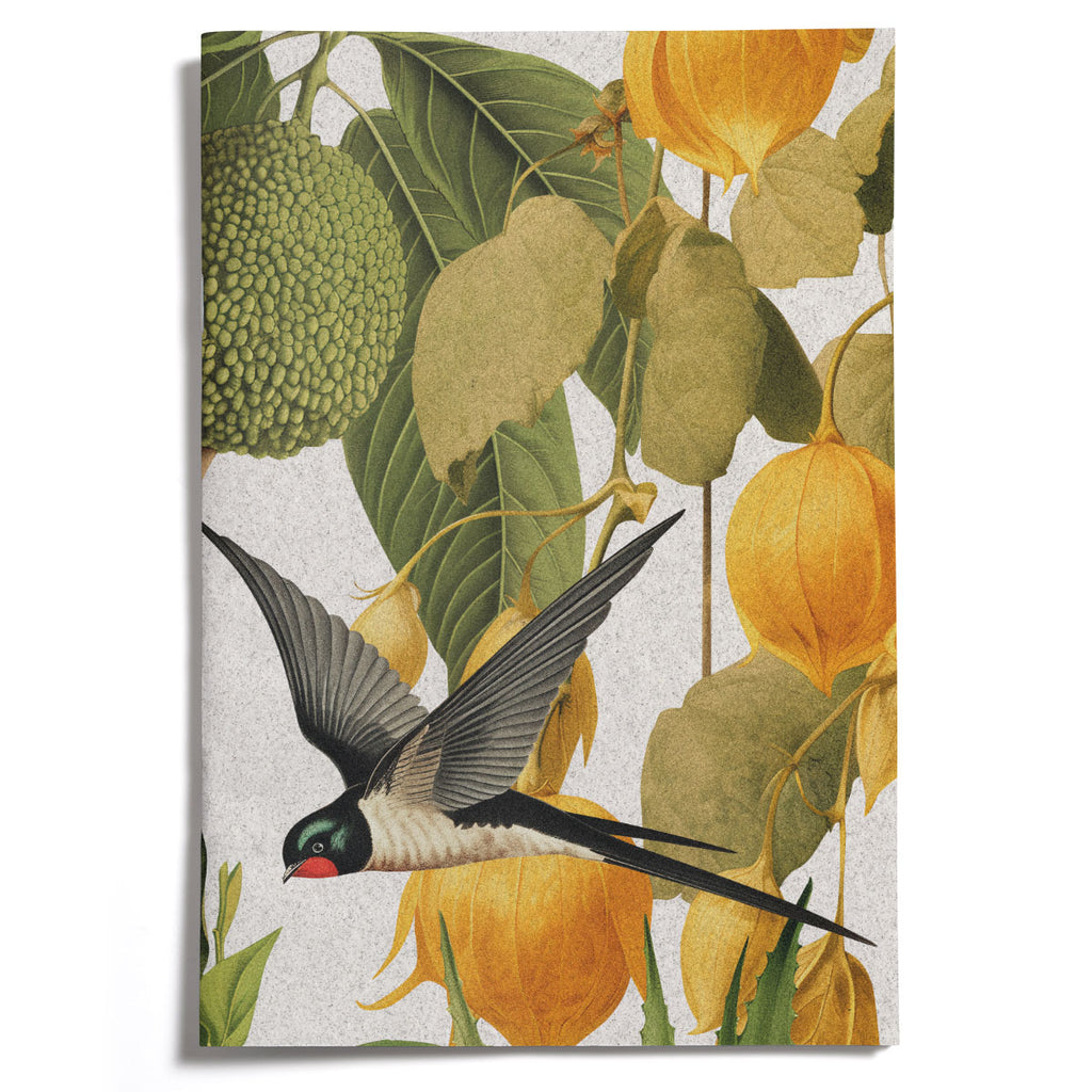 LOVELY LITTLE NOTEBOOKS [set of 2] ~ Swallows