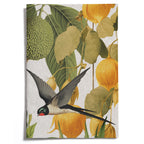 LOVELY LITTLE NOTEBOOKS [set of 2] ~ Swallows