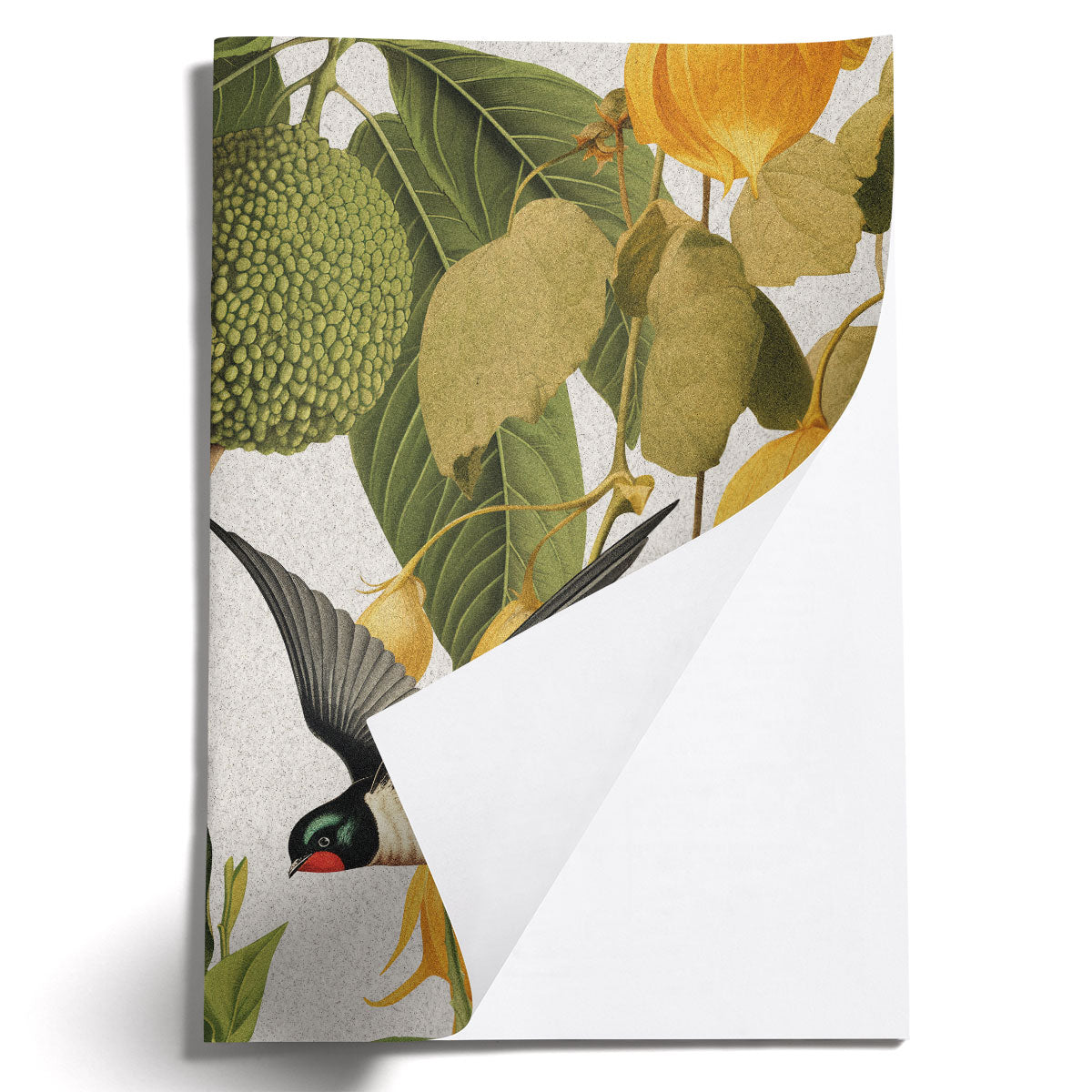 LOVELY LITTLE NOTEBOOKS [set of 2] ~ Swallows