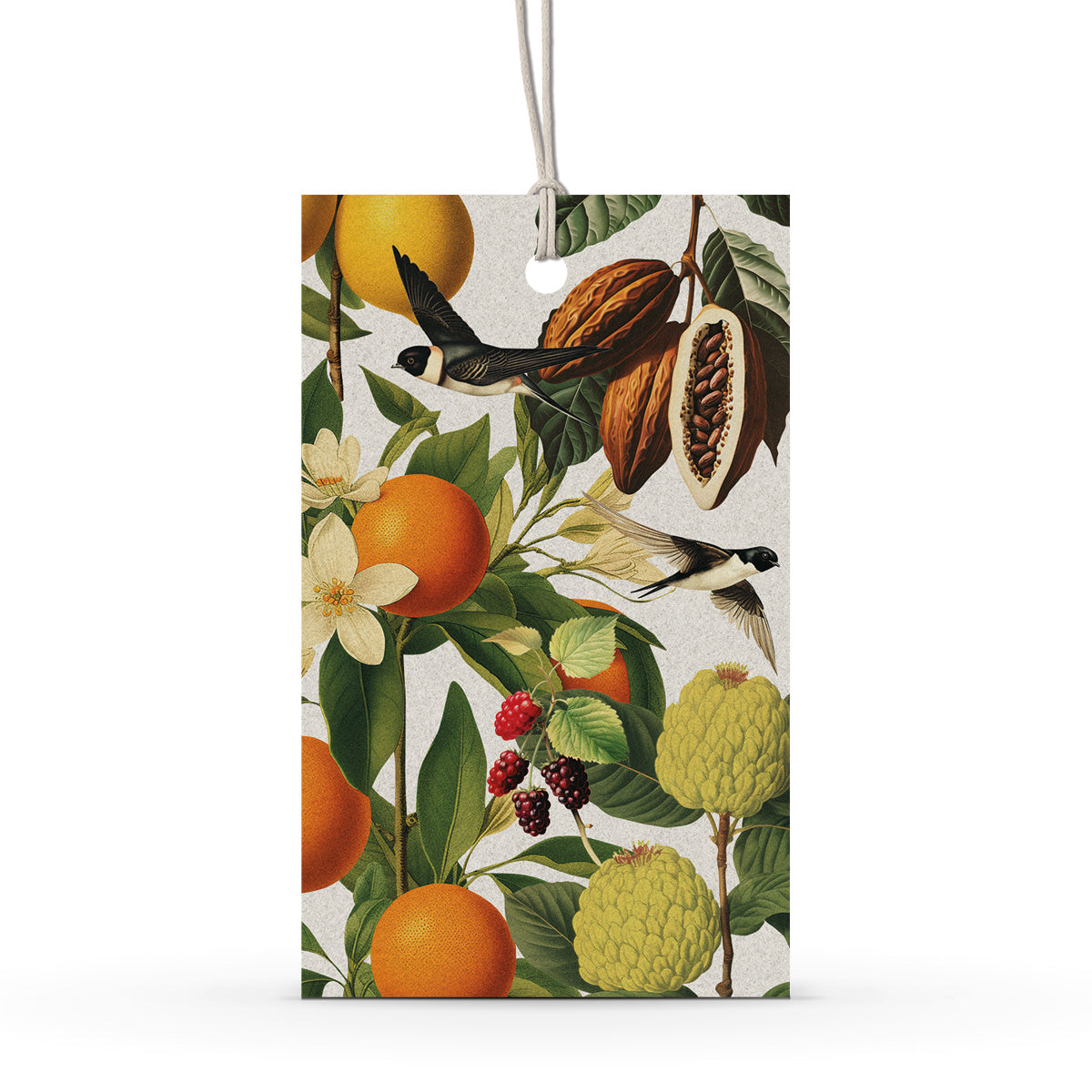 GIFT TAG SET [6] ~ Swallows