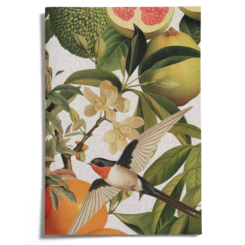 LOVELY LITTLE NOTEBOOKS [set of 2] ~ Swallows