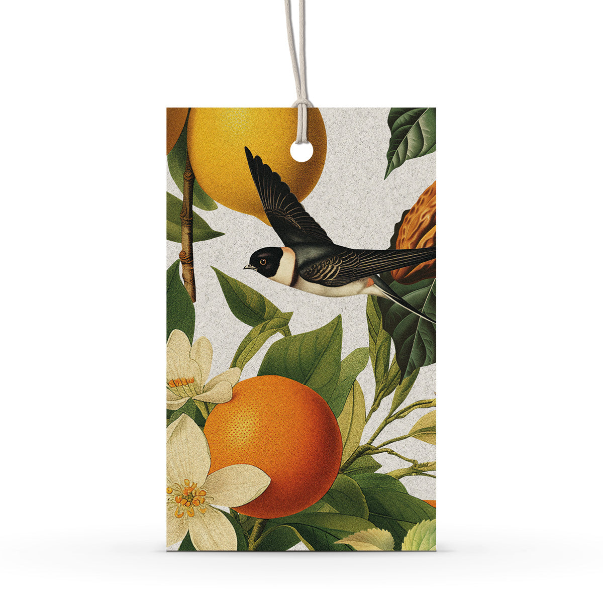 GIFT TAG SET [6] ~ Swallows