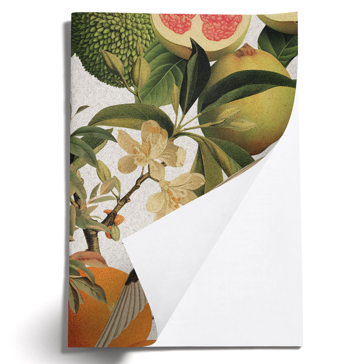 LOVELY LITTLE NOTEBOOKS [set of 2] ~ Swallows