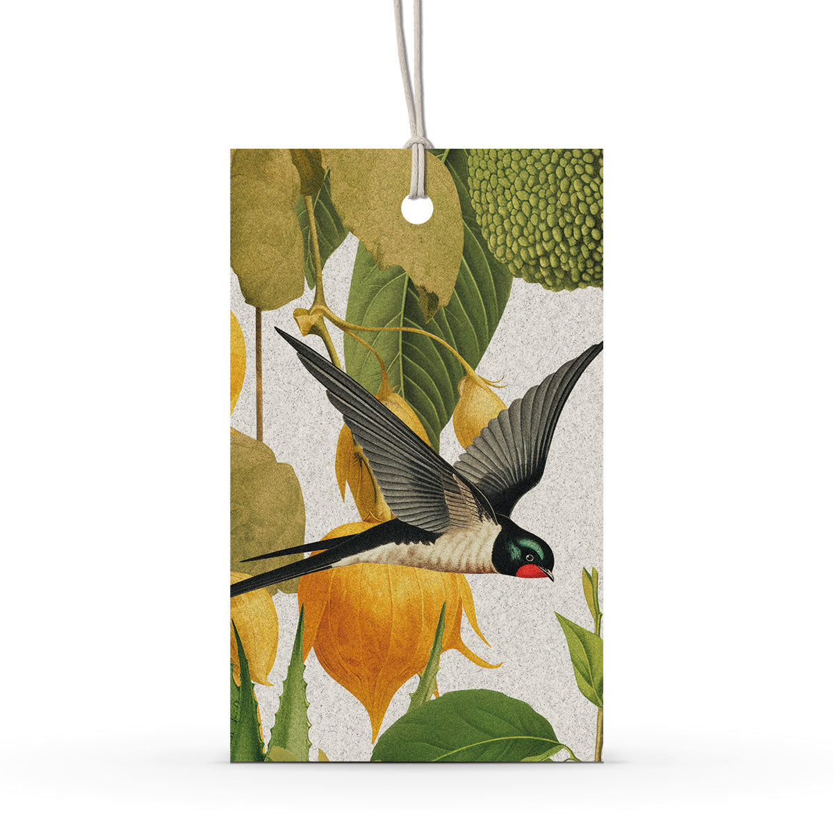 GIFT TAG SET [6] ~ Swallows