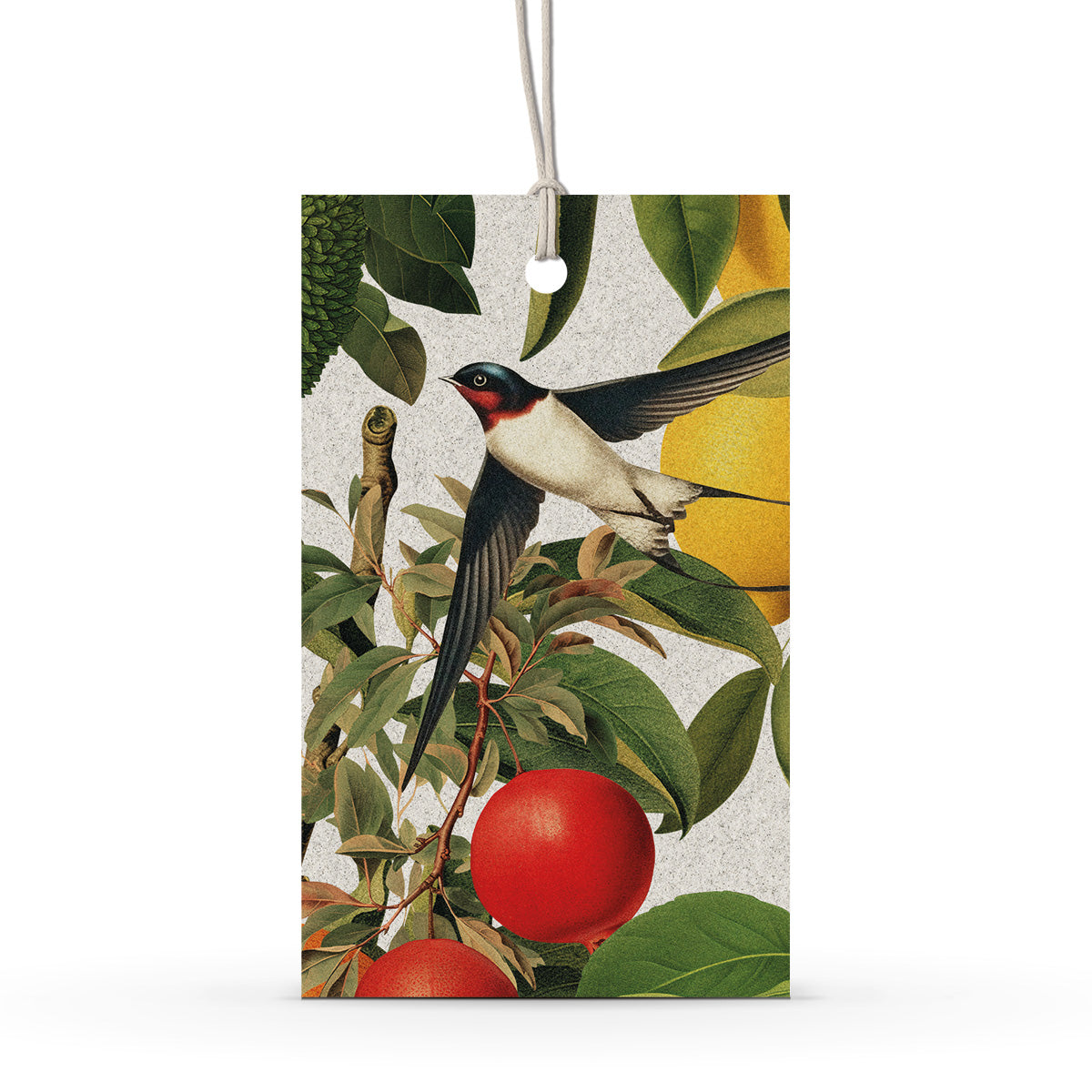 GIFT TAG SET [6] ~ Swallows