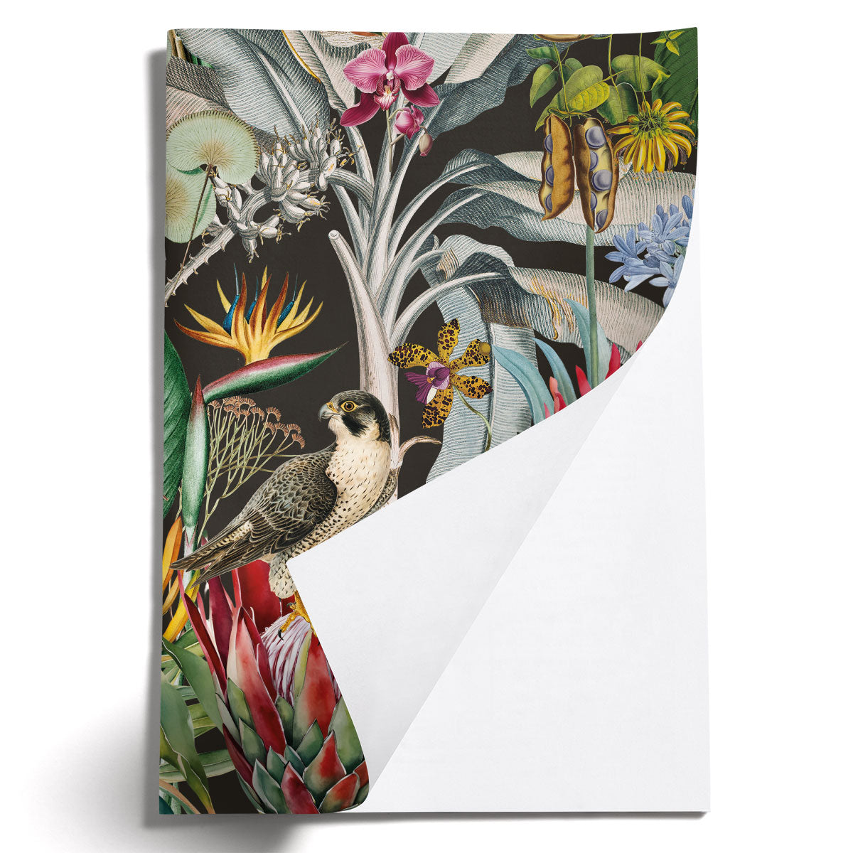 LOVELY LITTLE NOTEBOOKS [set of 2] ~ Protea & the Falcon