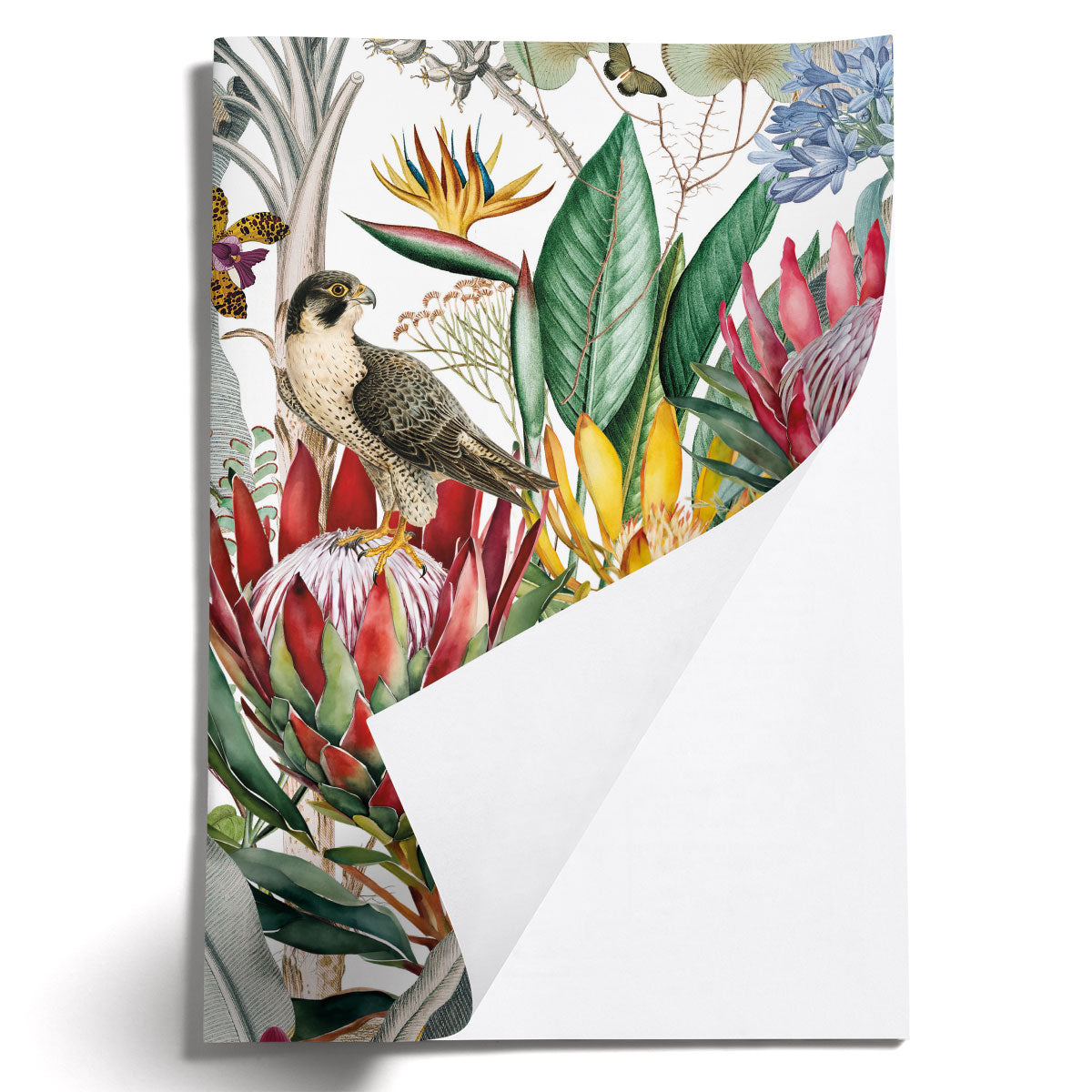 LOVELY LITTLE NOTEBOOKS [set of 2] ~ Protea & the Falcon