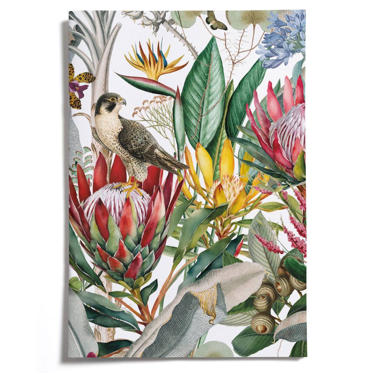LOVELY LITTLE NOTEBOOKS [set of 2] ~ Protea & the Falcon
