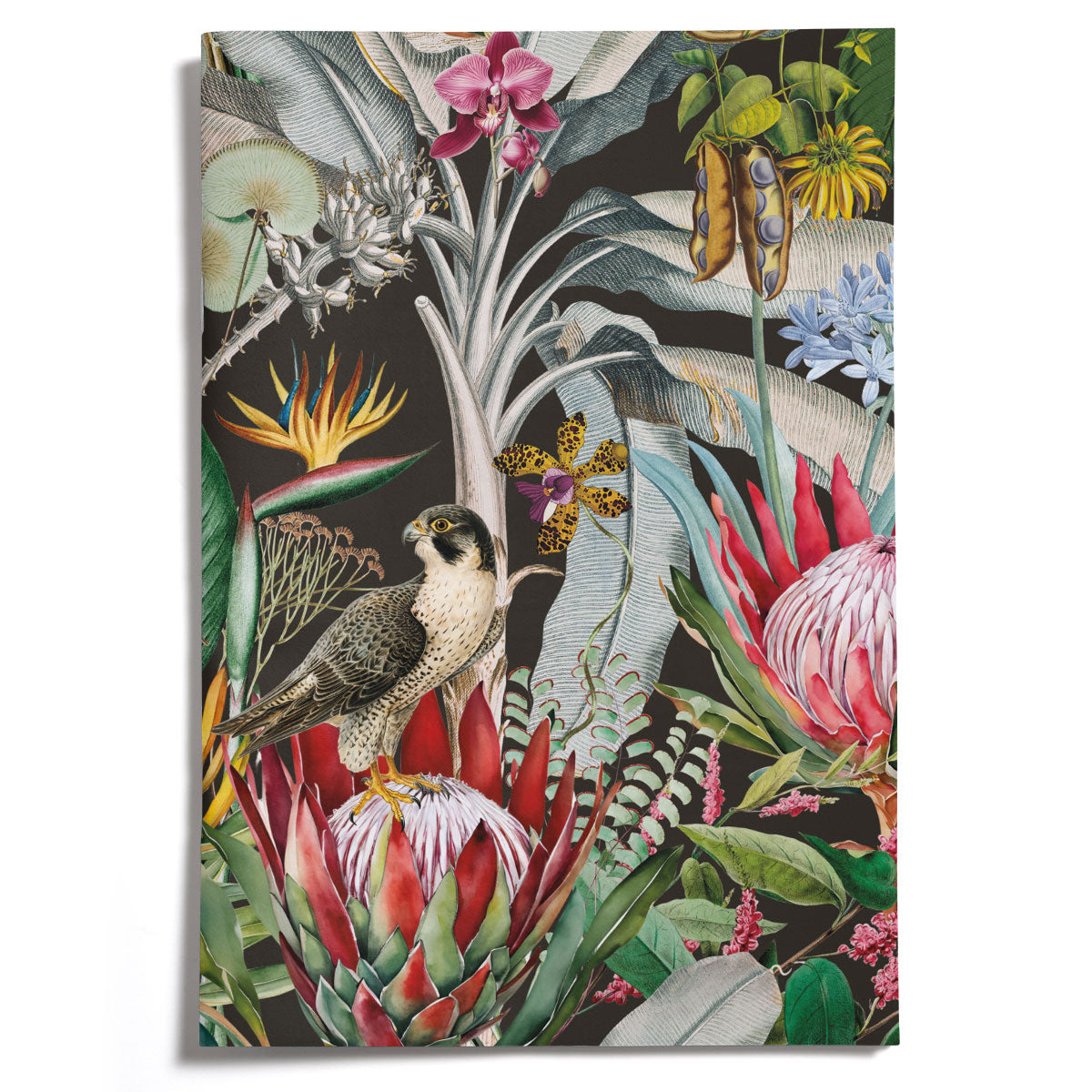 LOVELY LITTLE NOTEBOOKS [set of 2] ~ Protea & the Falcon
