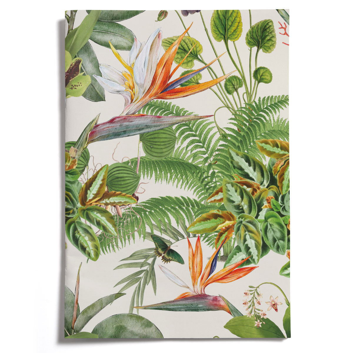 LOVELY LITTLE NOTEBOOKS [set of 2] ~ Greenhouse