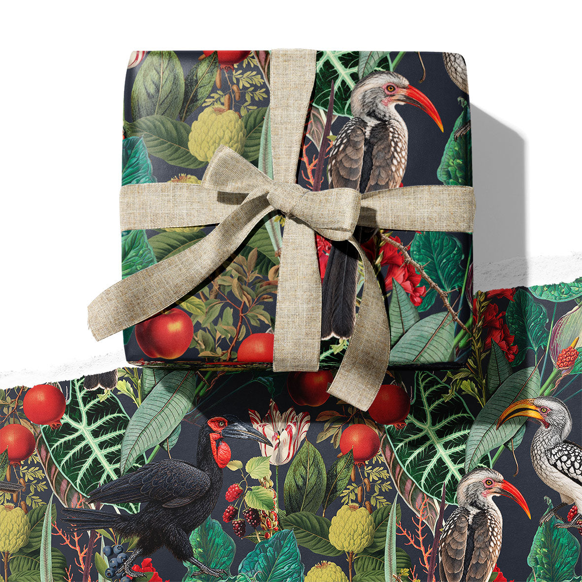 PRE-ORDER - WRAPPING PAPER ~ Hornbills [5 sheets]