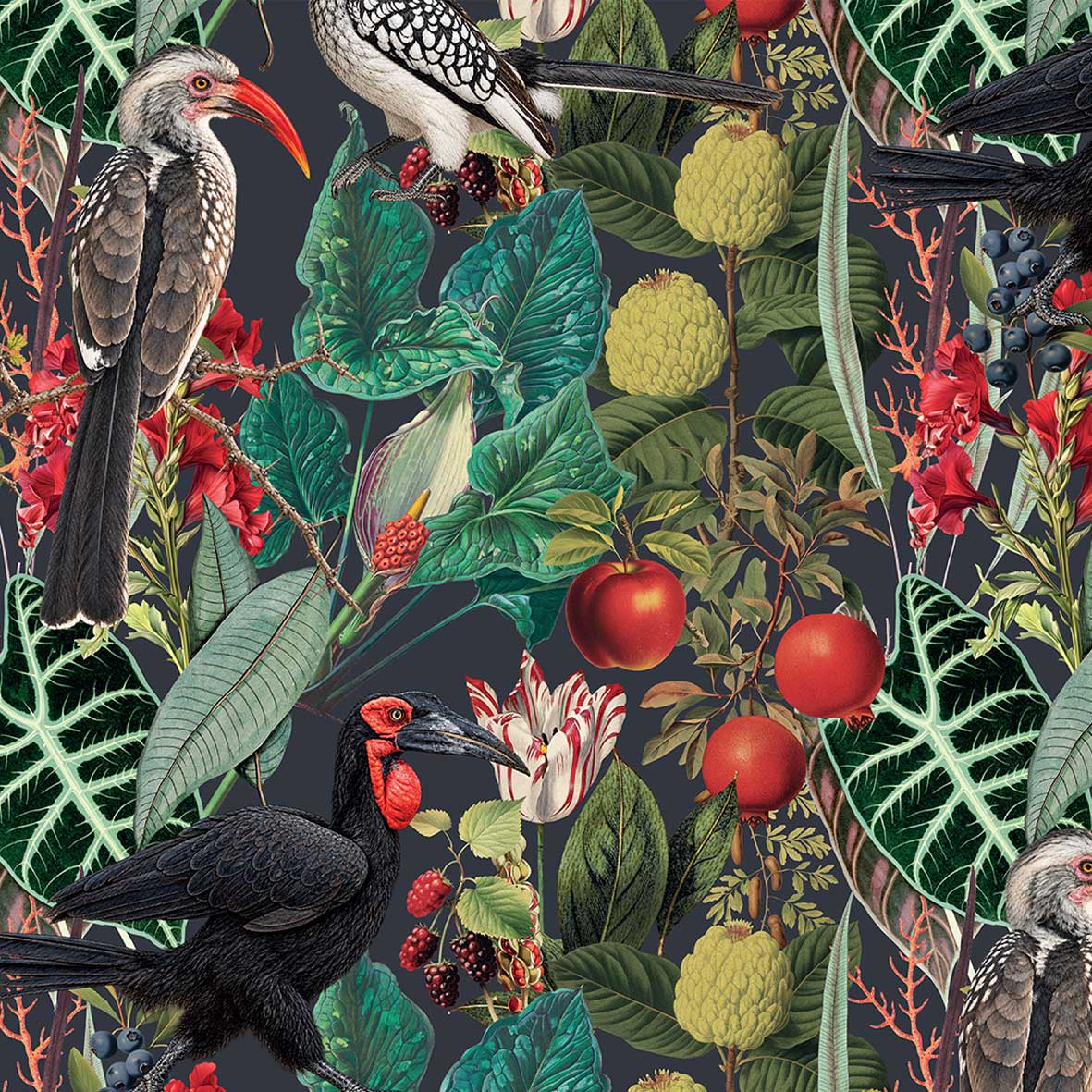 PRE-ORDER - WRAPPING PAPER ~ Hornbills [5 sheets]