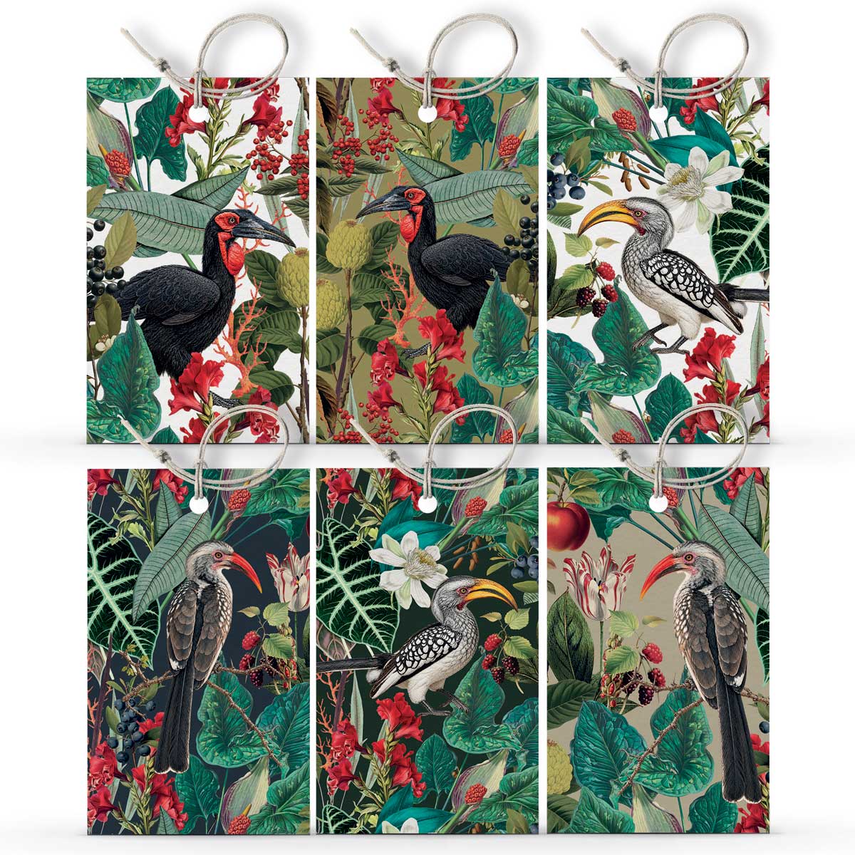 OH SO LOVELY LITTLE GIFT SET ~ Hornbills