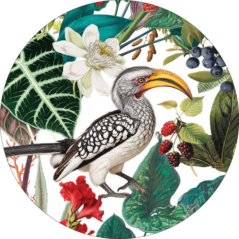 OH SO LOVELY LITTLE GIFT SET ~ Hornbills