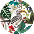 PRE-ORDER - LICENSE DISC STICKER ~ Hornbill