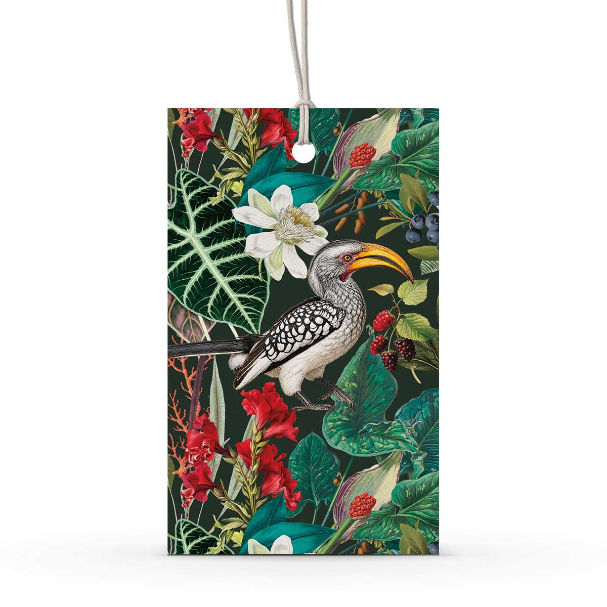 PRE-ORDER - GIFT TAG SET [6] ~ Hornbills