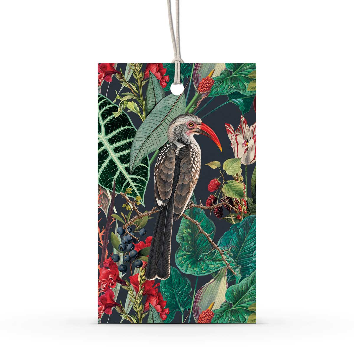 PRE-ORDER - GIFT TAG SET [6] ~ Hornbills
