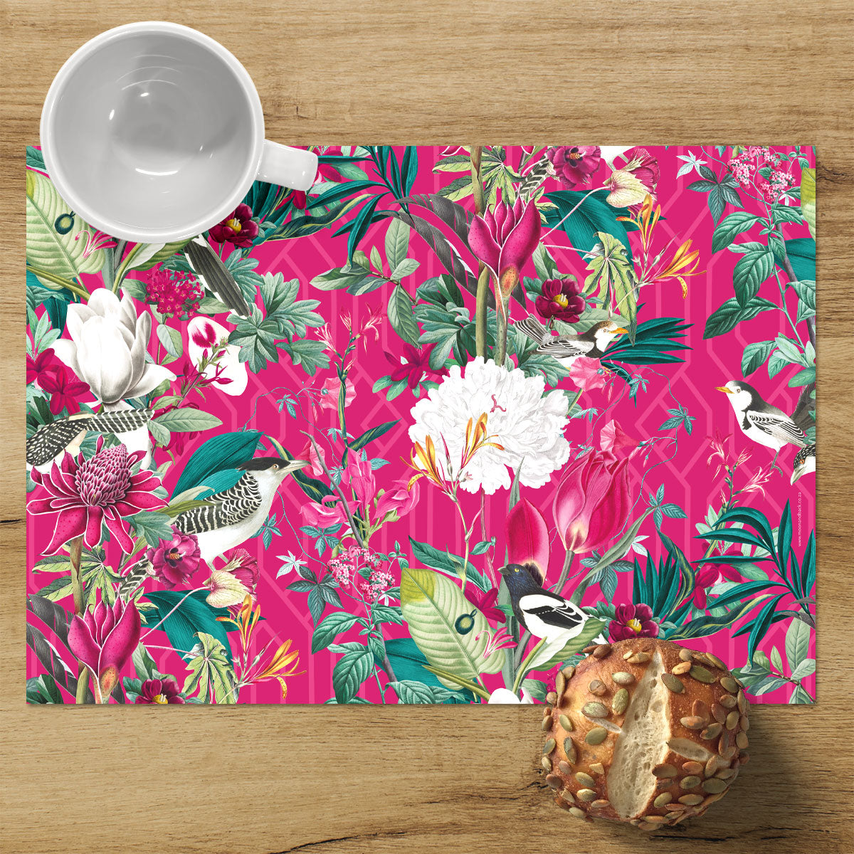 REUSABLE PLACEMATS [4] ~ Patagonia
