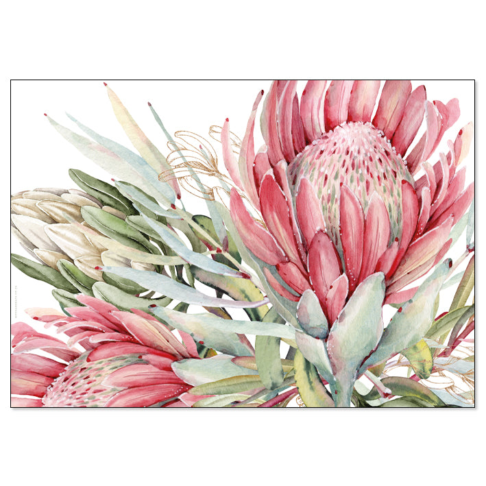 [PRE-ORDER] DESK MAT - King Protea