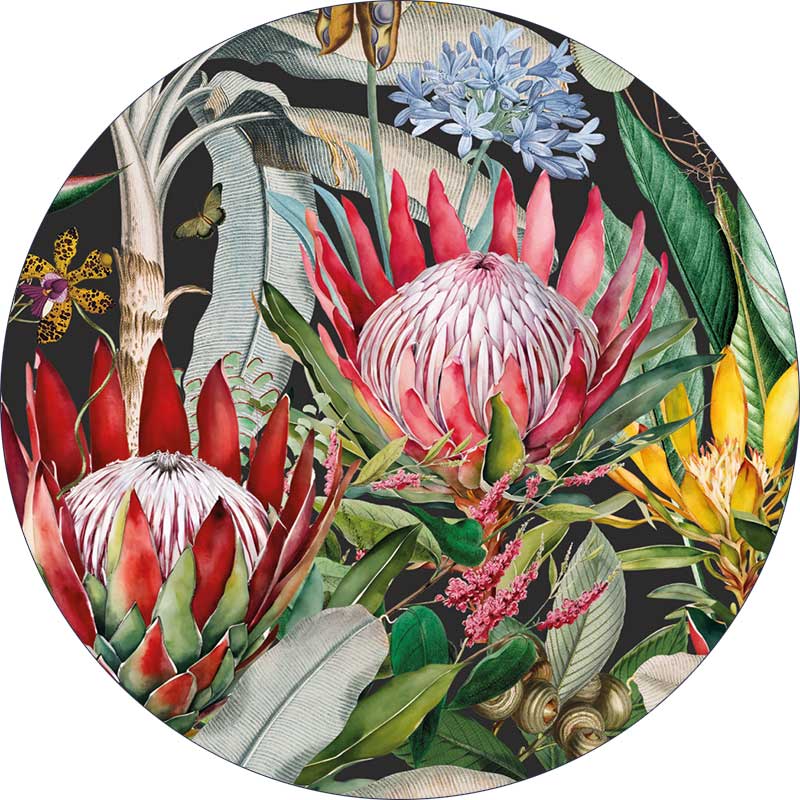 LICENSE DISC STICKER ~ Protea Brights