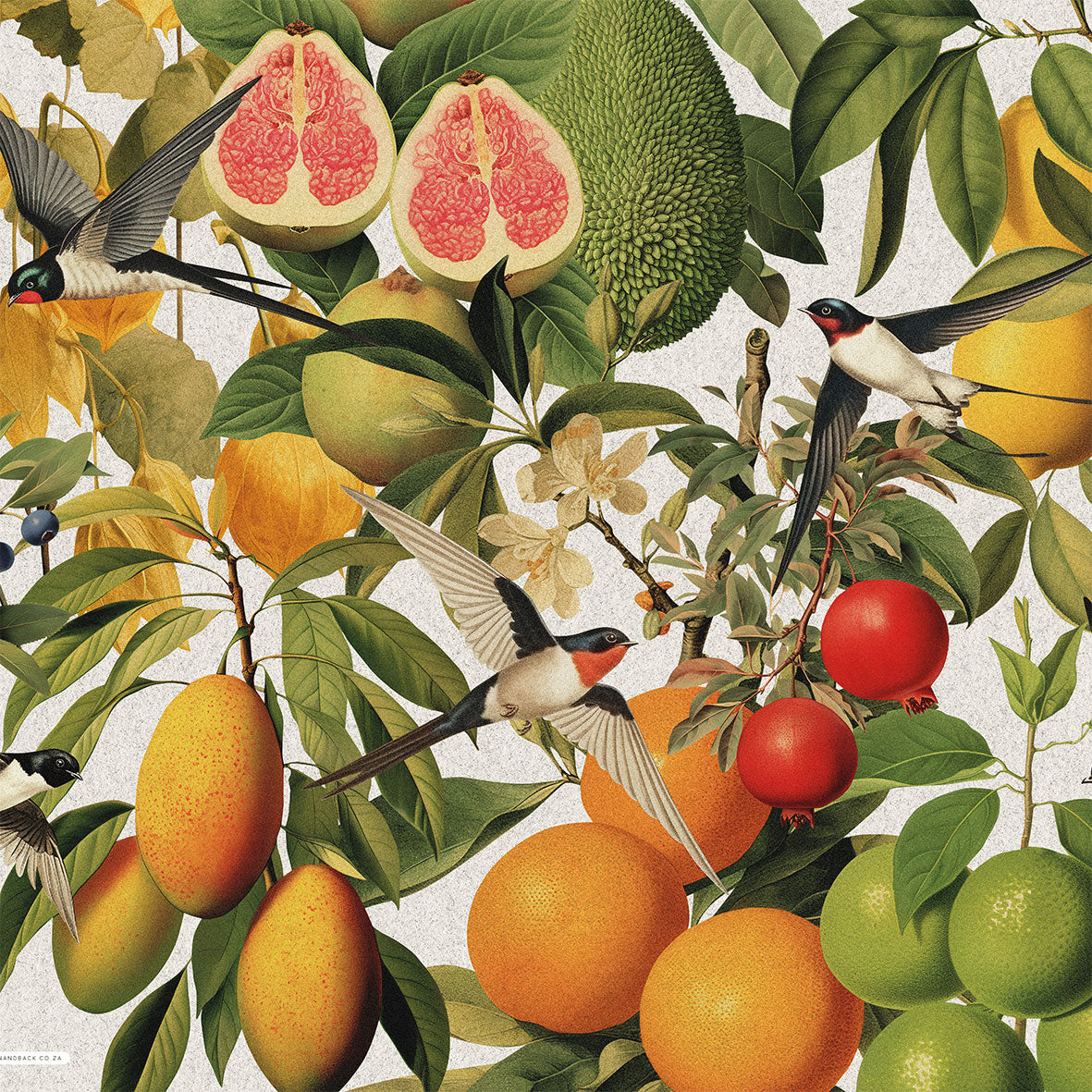 WRAPPING PAPER ~ Swallows [5 sheets]