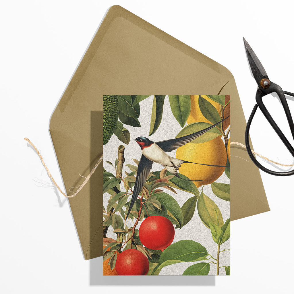 GIFT CARD SET [6] ~ Swallows