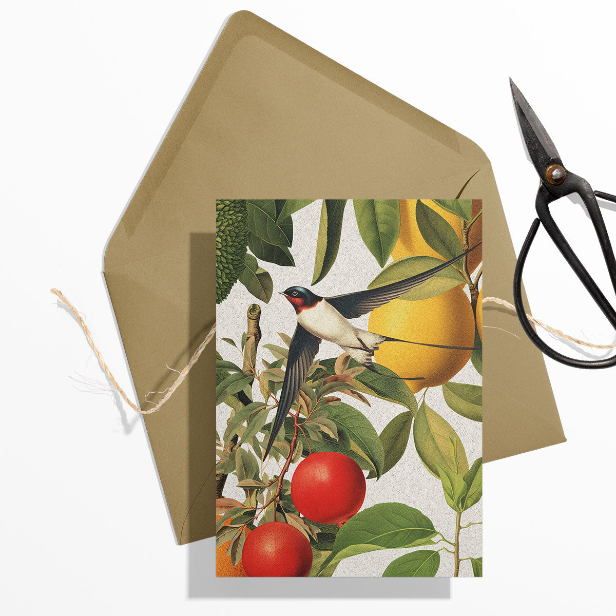 GIFT CARD SET [6] ~ Swallows