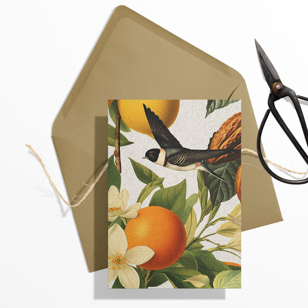 GIFT CARD SET [6] ~ Swallows