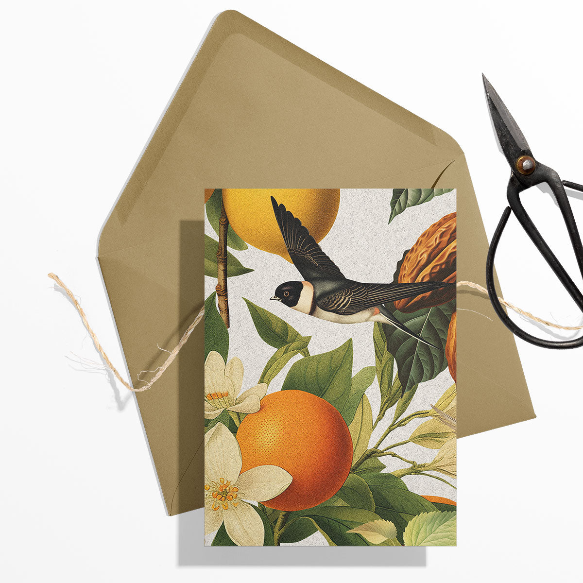 GIFT CARD SET [6] ~ Swallows