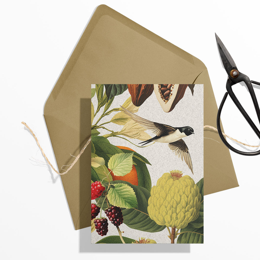 GIFT CARD SET [6] ~ Swallows