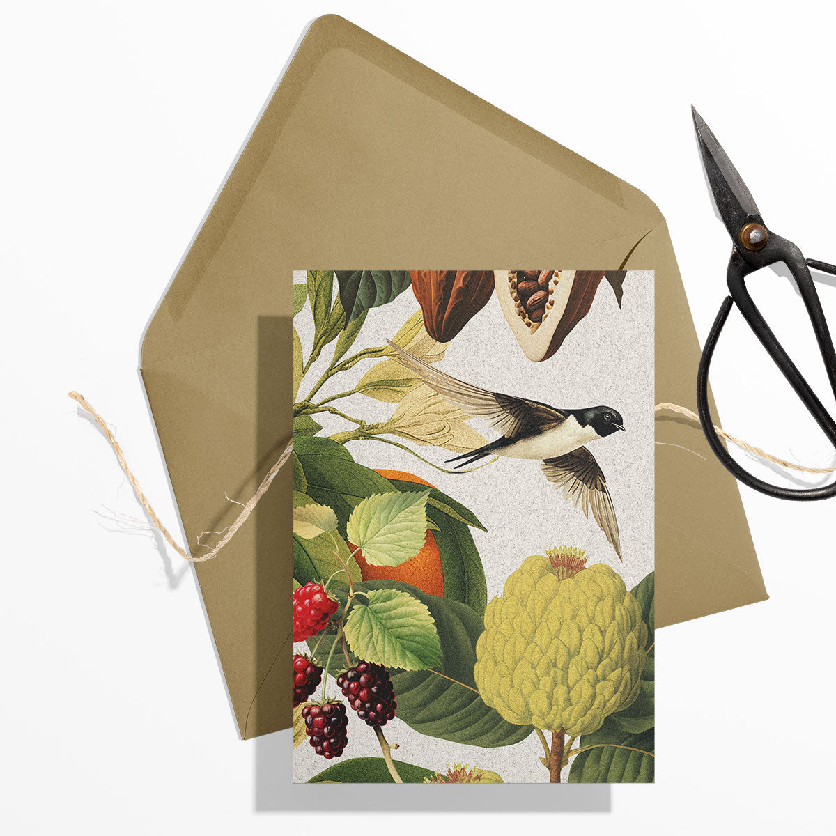 GIFT CARD SET [6] ~ Swallows