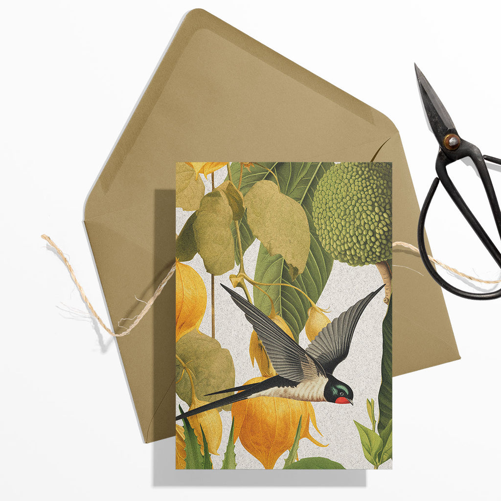 GIFT CARD SET [6] ~ Swallows