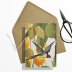 GIFT CARD SET [6] ~ Swallows