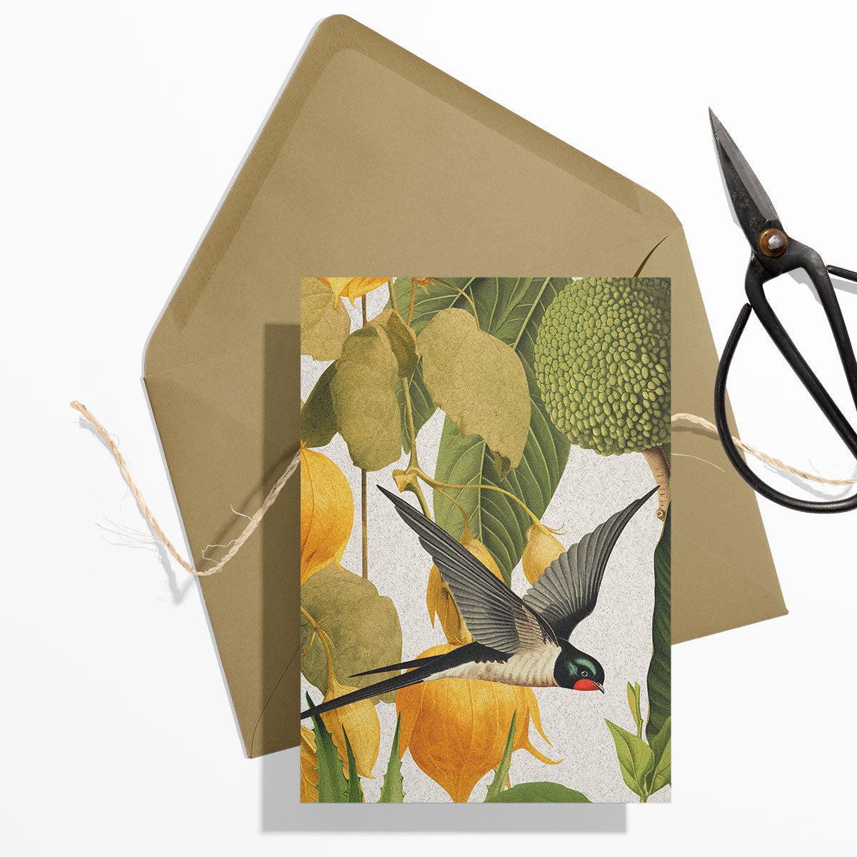 GIFT CARD SET [6] ~ Swallows