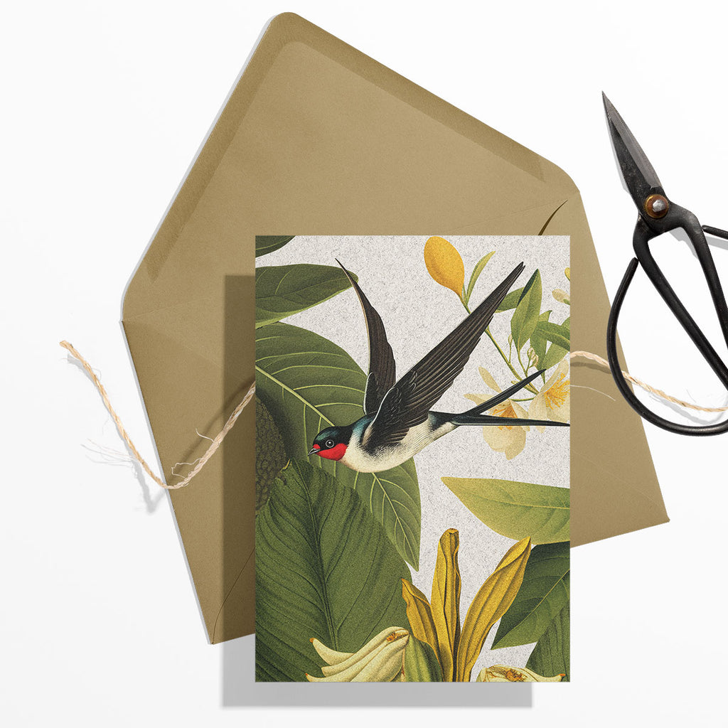 GIFT CARD SET [6] ~ Swallows