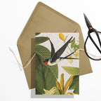 GIFT CARD SET [6] ~ Swallows