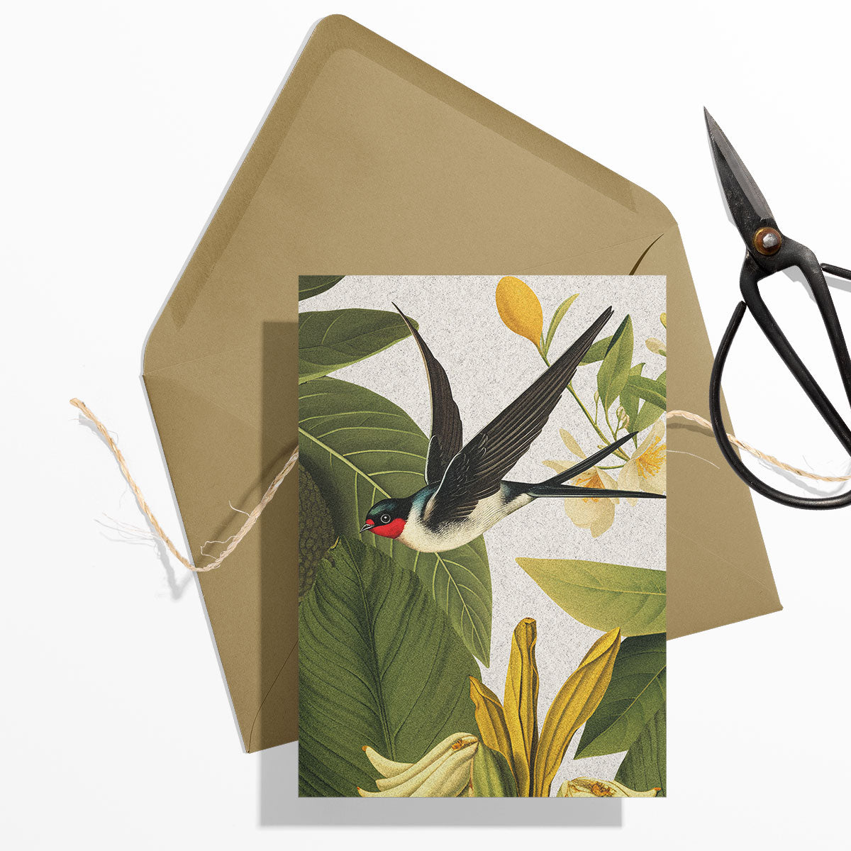 GIFT CARD SET [6] ~ Swallows