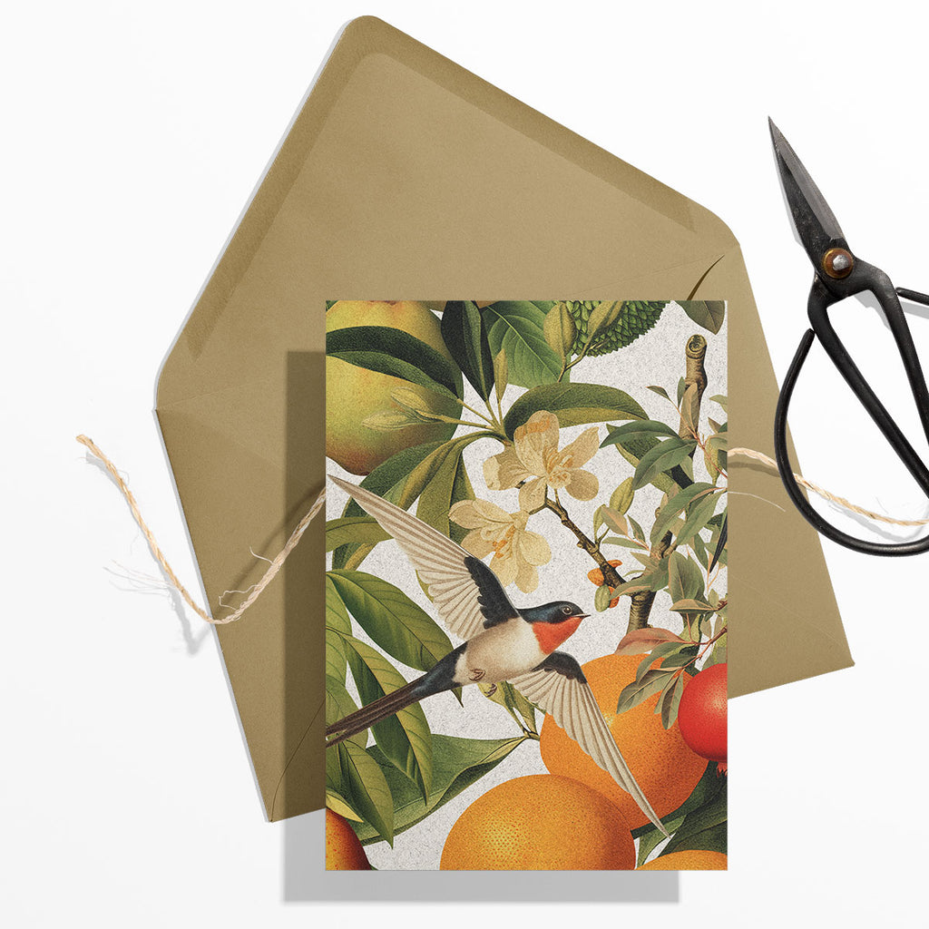 GIFT CARD SET [6] ~ Swallows