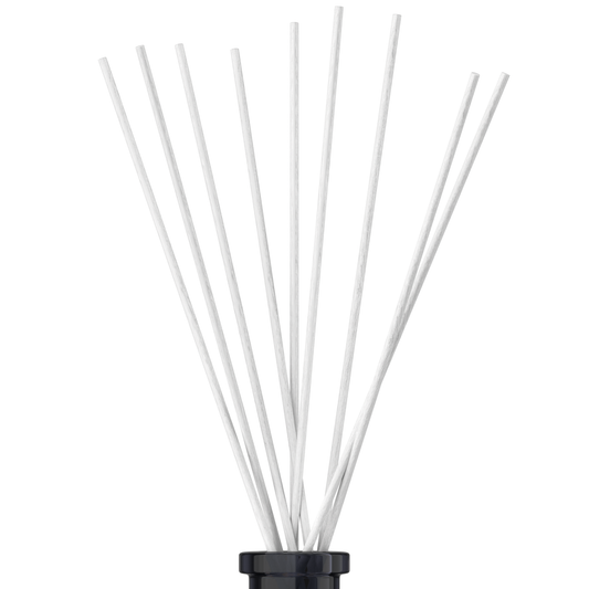 DIFFUSER REEDS [10] - White fibre