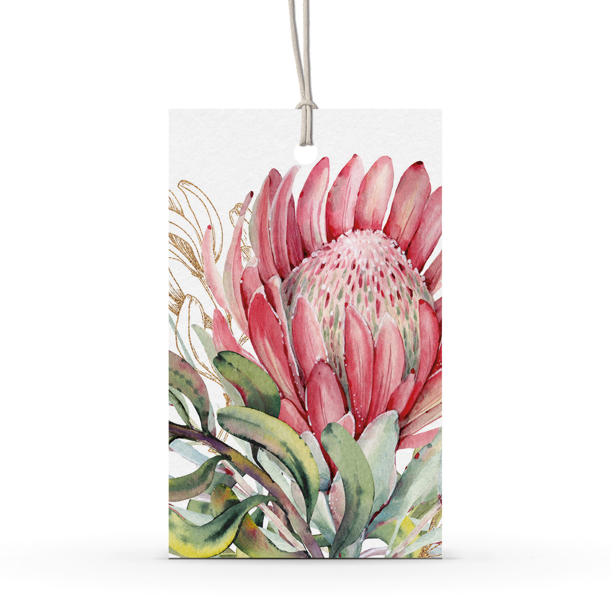 GIFT TAG SET [6] ~ King Protea